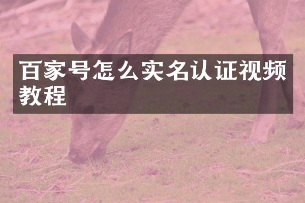 百家号怎么实名认证视频教程