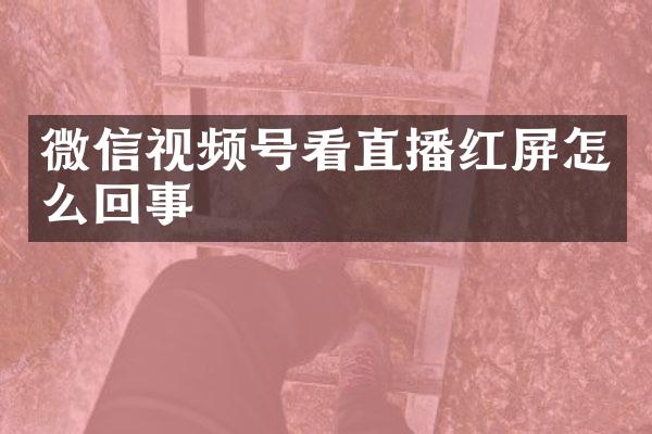 微信视频号看直播红屏怎么回事