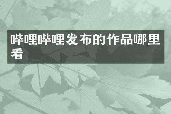 哔哩哔哩发布的作品哪里看