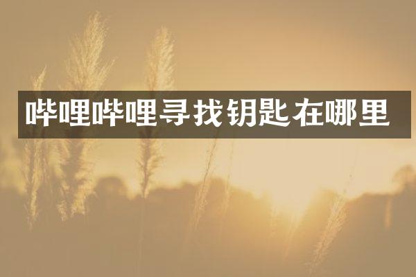 哔哩哔哩寻找钥匙在哪里