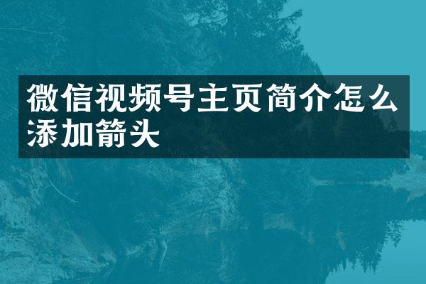 微信视频号主页简介怎么添加箭头
