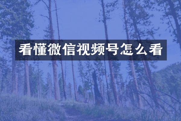 看懂微信视频号怎么看