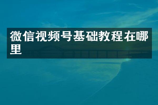 微信视频号基础教程在哪里
