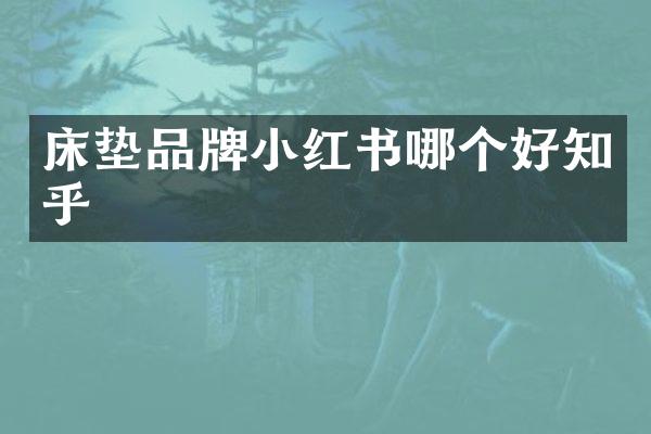 床垫品牌小红书哪个好知乎