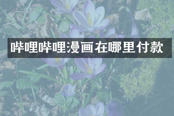 哔哩哔哩漫画在哪里付款
