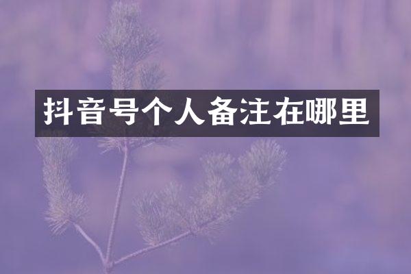 抖音号个人备注在哪里