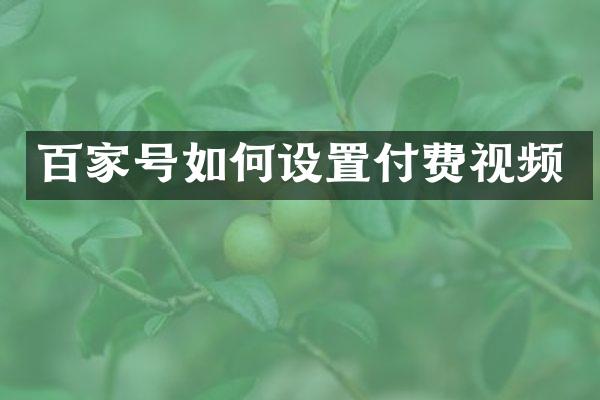 百家号如何设置付费视频
