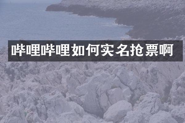 哔哩哔哩如何实名抢票啊
