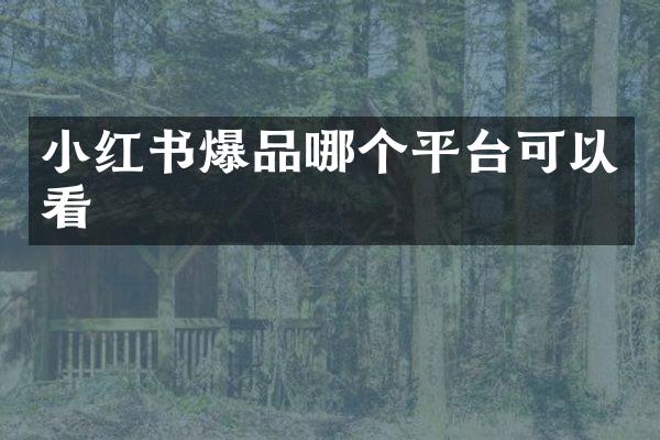 小红书爆品哪个平台可以看