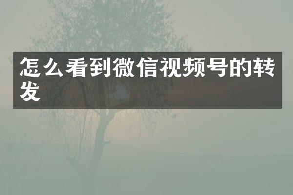 怎么看到微信视频号的转发