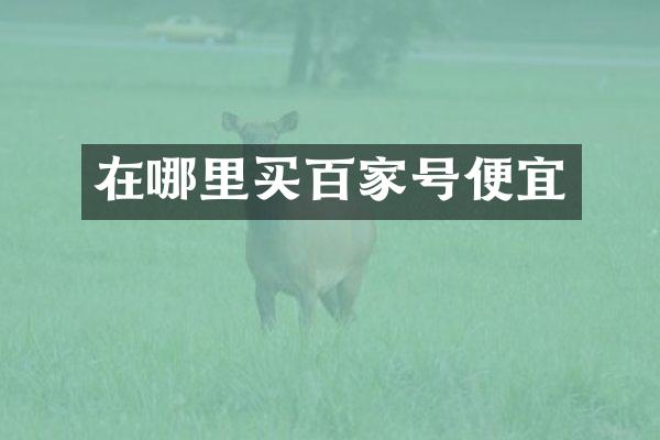 在哪里买百家号便宜
