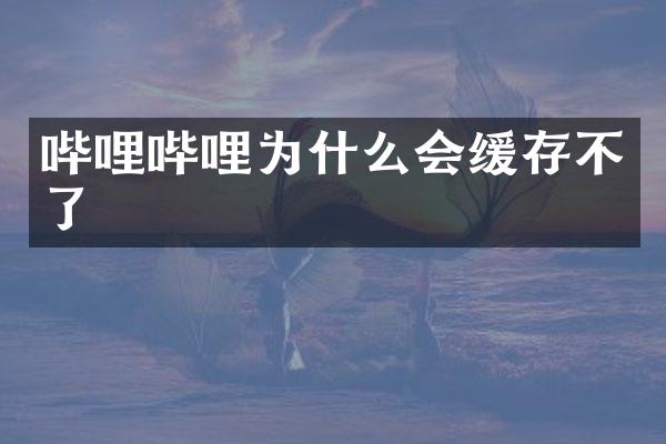 哔哩哔哩为什么会缓存不了