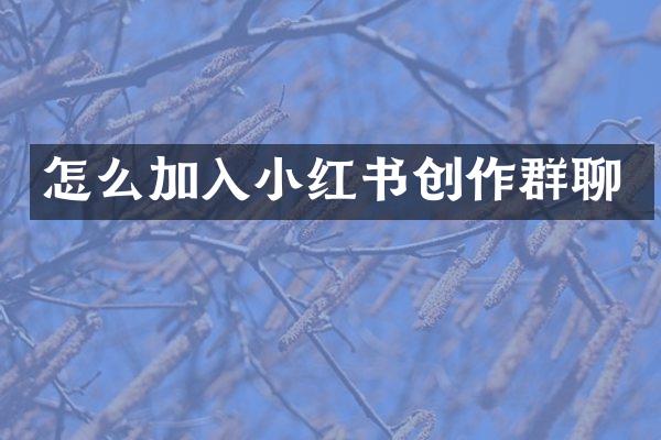 怎么加入小红书创作群聊