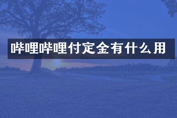 哔哩哔哩付定金有什么用