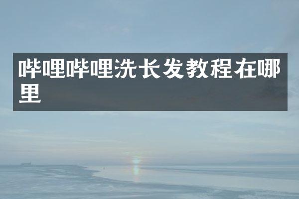 哔哩哔哩洗长发教程在哪里
