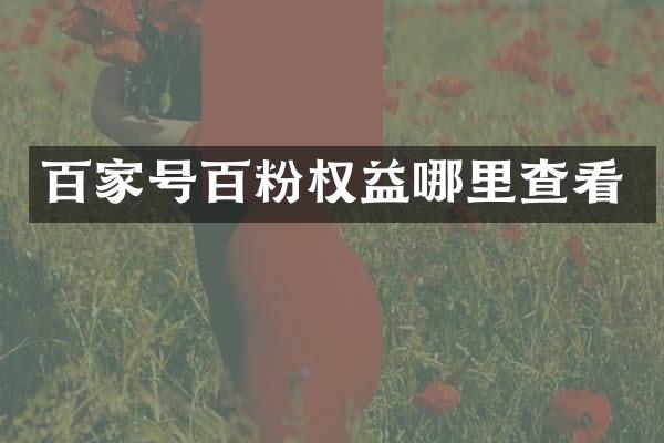 百家号百粉权益哪里查看