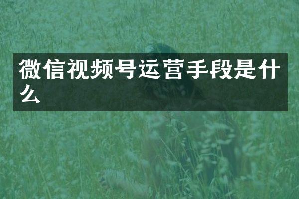 微信视频号运营手段是什么