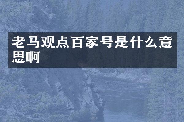 老马观点百家号是什么意思啊
