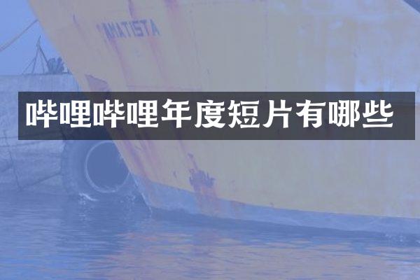 哔哩哔哩年度短片有哪些