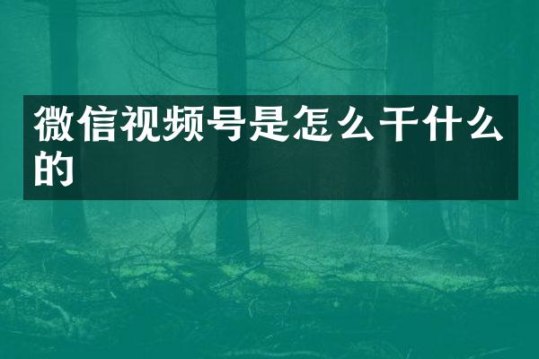 微信视频号是怎么干什么的