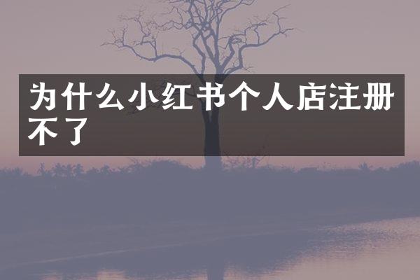 为什么小红书个人店注册不了