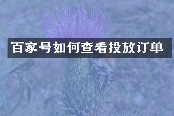百家号如何查看投放订单
