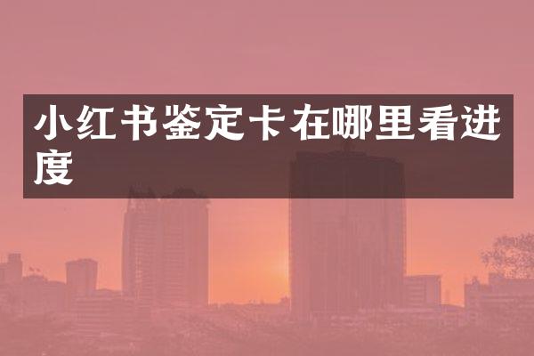 小红书鉴定卡在哪里看进度