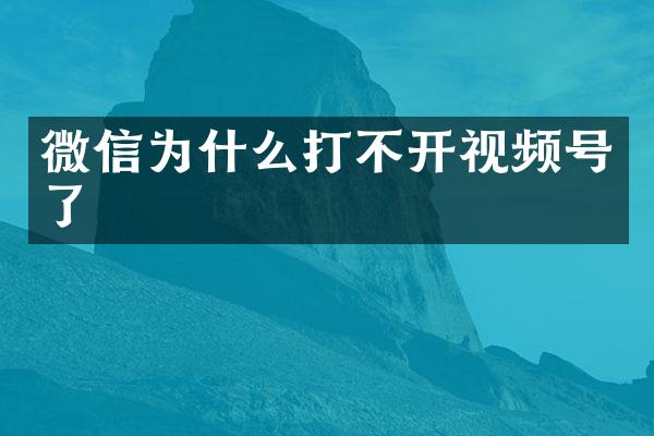 微信为什么打不开视频号了
