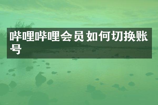 哔哩哔哩会员如何切换账号