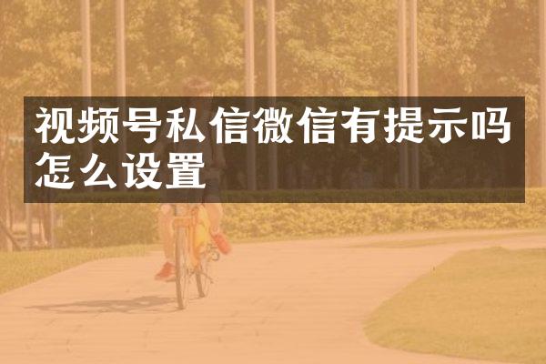 视频号私信微信有提示吗怎么设置