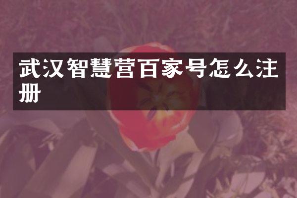 武汉智慧营百家号怎么注册