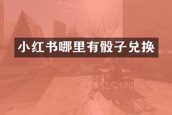 小红书哪里有骰子兑换