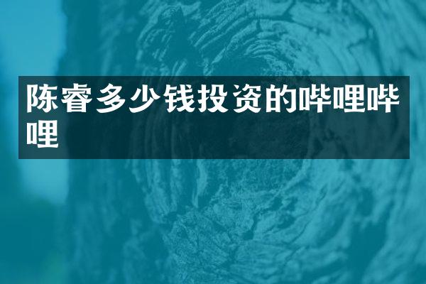 陈睿多少钱投资的哔哩哔哩