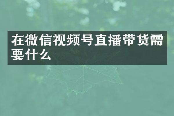 在微信视频号直播带货需要什么