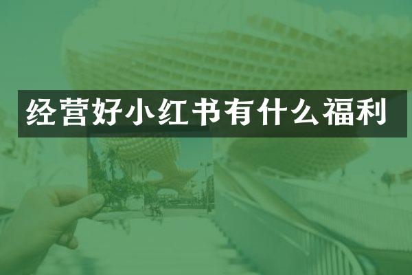 经营好小红书有什么福利