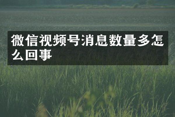 微信视频号消息数量多怎么回事