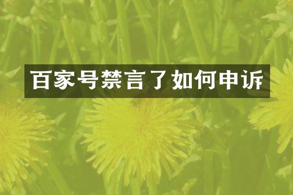 百家号禁言了如何申诉