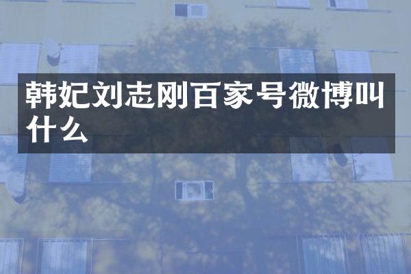 韩妃刘志刚百家号微博叫什么