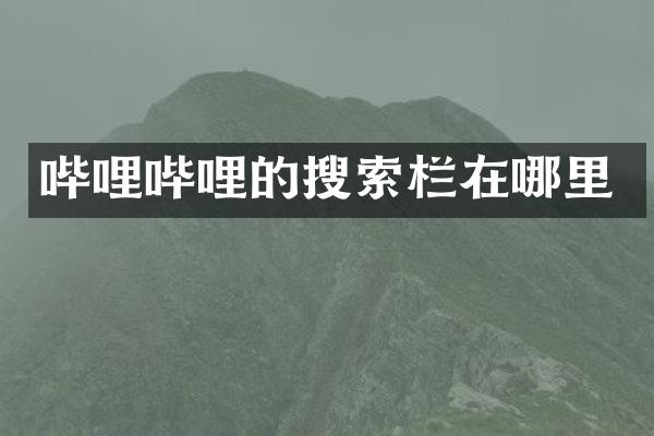 哔哩哔哩的搜索栏在哪里