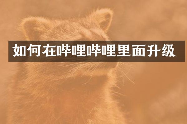 如何在哔哩哔哩里面升级