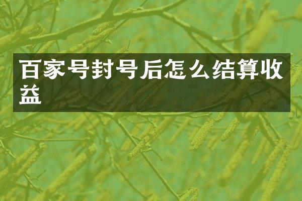 百家号封号后怎么结算收益