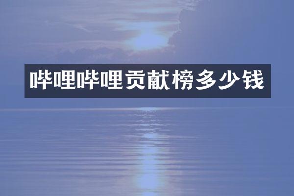 哔哩哔哩贡献榜多少钱