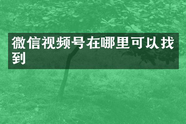 微信视频号在哪里可以找到