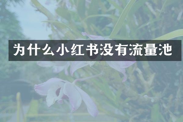为什么小红书没有流量池