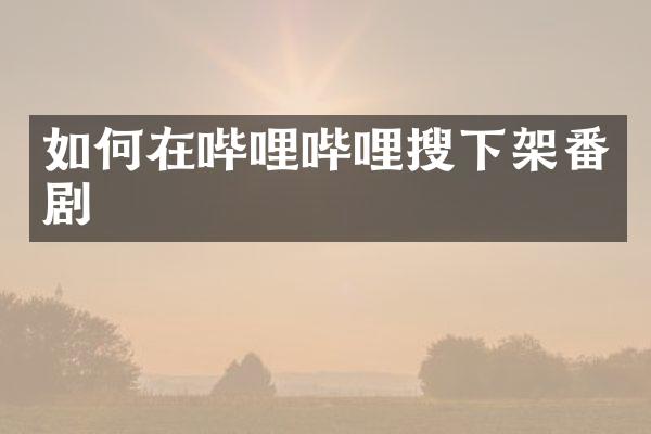 如何在哔哩哔哩搜下架番剧