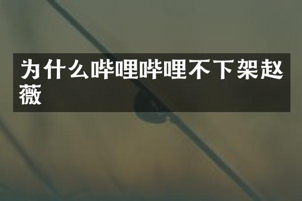 为什么哔哩哔哩不下架赵薇