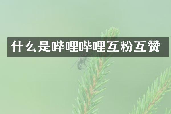 什么是哔哩哔哩互粉互赞