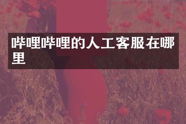 哔哩哔哩的人工客服在哪里