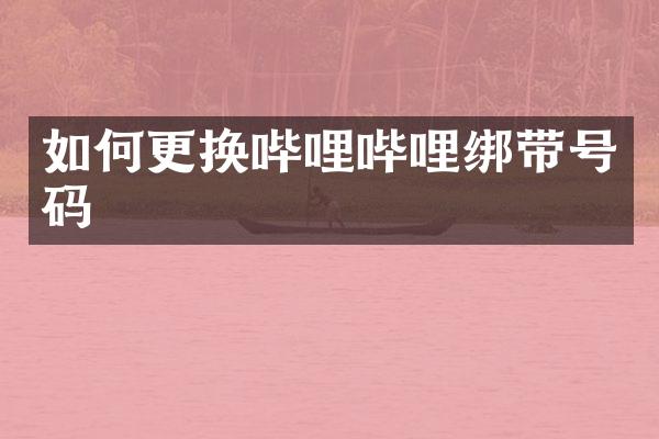 如何更换哔哩哔哩绑带号码