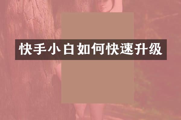 快手小白如何快速升级